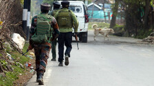 Terror attack