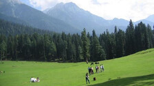 Pahalgam terrorist attack