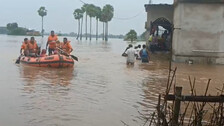 Flood situation improves in northern Odisha, Subarnarekha river expected to recede below danger level today