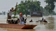 PM Modi announces Rs 1,600 crore financial assistance for flood-ravaged Punjab