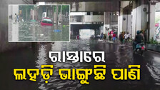 ଚେନ୍ନାଇରେ ବନ୍ୟା ଦୁର୍ଦ୍ଦଶା: ବର୍ଷା, ପବନ କମିବା ପରେ ବି ବଢ଼ୁଛି ମୃତ୍ୟୁ ସଂଖ୍ୟା...