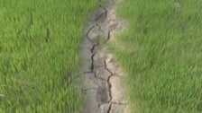sonepur