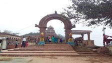 tara tarini