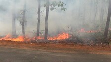 Similipal Wildfire