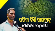 Vegitable Price Hike In Odisha