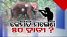 Unnatural Deaths of Elephants