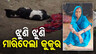 Stray Dog Maul Elderly Woman to death 