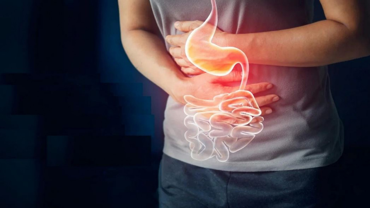 Digestion
