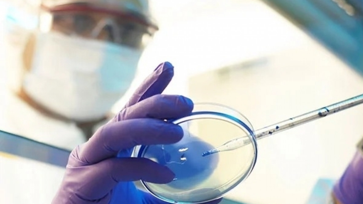 France Detects New Covid Variant 'IHU', 12 Infected