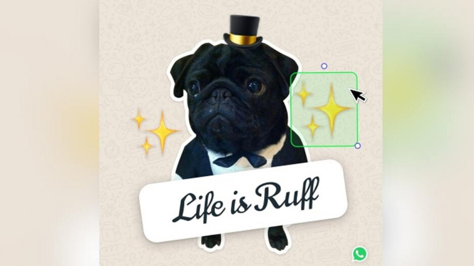 WhatsApp Launches New Tool To Make Custom Stickers Tech News